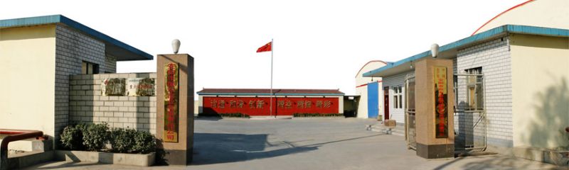 熱力慶祝公司網站改版完成
